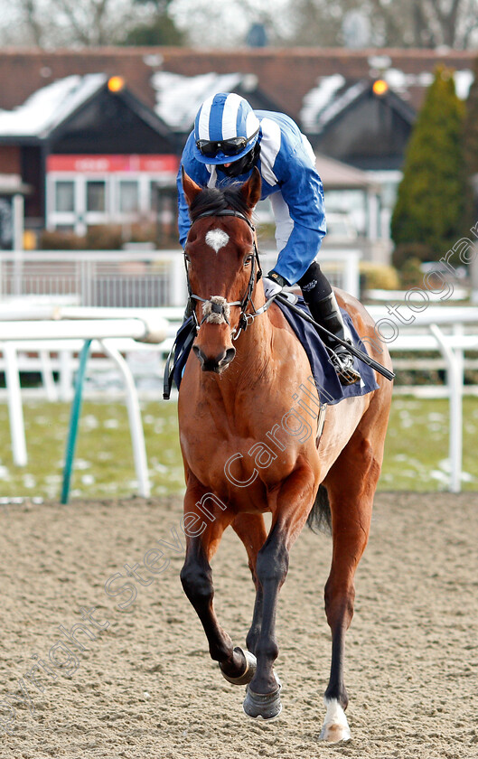 Ahdab-0001 
 AHDAB (Ryan Moore) winner of The Bombardier March To Your Own Drum Novice Stakes
Lingfield 13 Feb 2021 - Pic Steven Cargill / Racingfotos.com