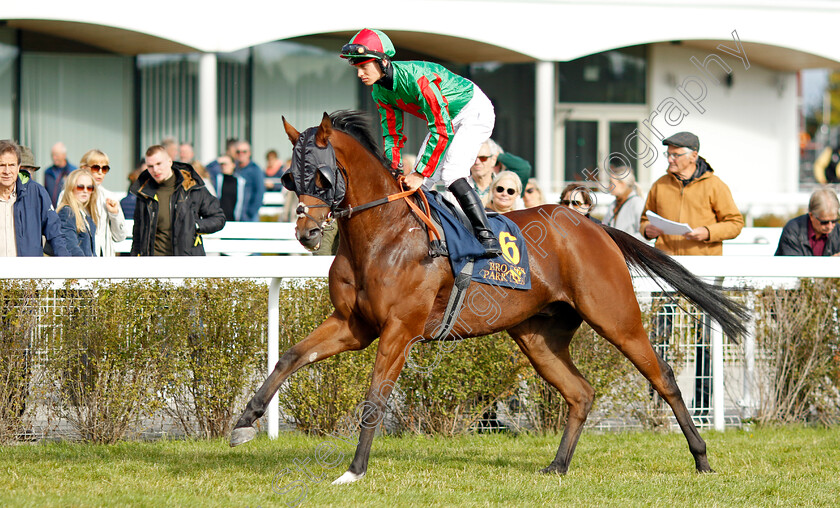 Karibana-0001 
 KARIBANA (George Rooke)
Bro Park 18 Sep 2022 - Pic Steven Cargill / Racingfotos.com