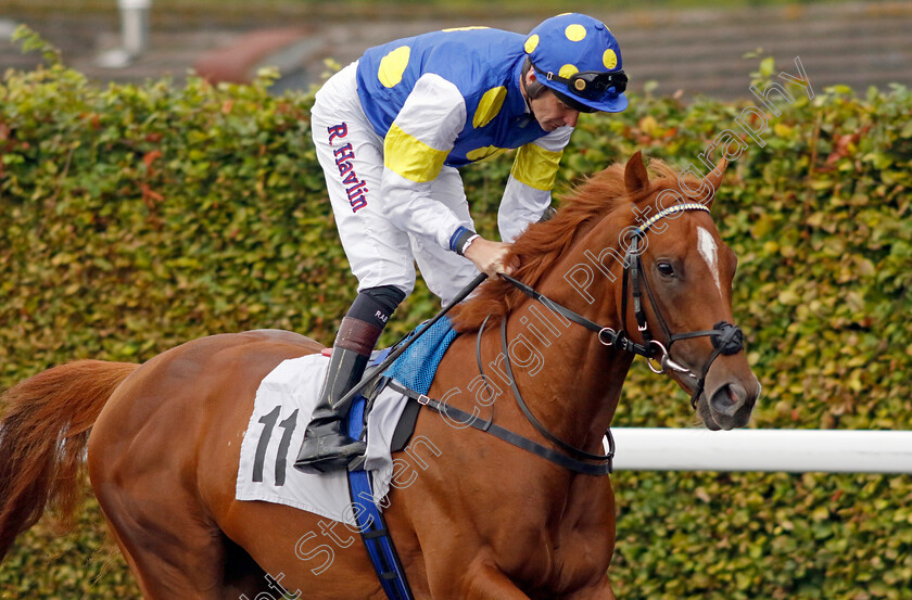 Vecu-0001 
 VECU (Robert Havlin)
Kempton 6 Sep 2024 - Pic Steven Cargill / Racingfotos.com