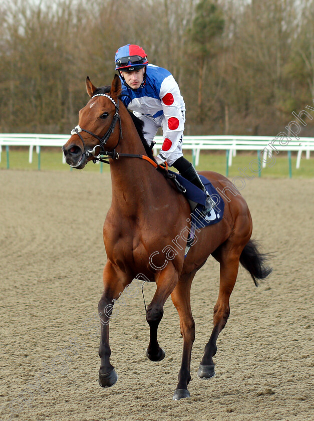 Sha-La-La-La-Lee-0001 
 SHA LA LA LA LEE (Richard Kingscote) before The Sun Racing No1 Racing Site Handicap
Lingfield 2 Mar 2019 - Pic Steven Cargill / Racingfotos.com