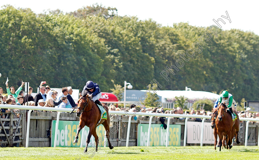 City-Of-Troy-0007 
 CITY OF TROY (Ryan Moore) wins The bet365 Superlative Stakes
Newmarket 15 Jul 2023 - Pic Steven Cargill / Racingfotos.com