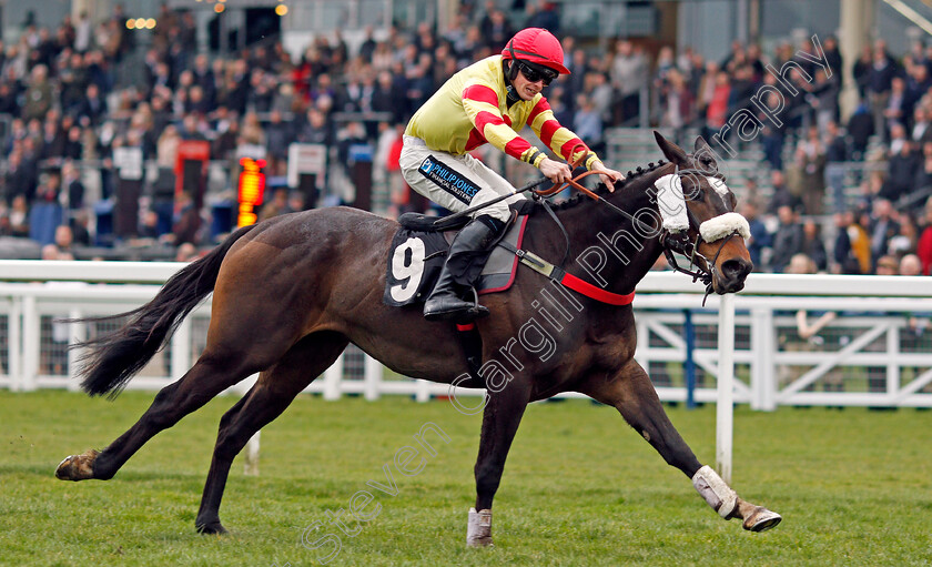 Sir-Will-0004 
 SIR WILL (Richard Patrick) wins The Iron Stand Conditional Jockeys Handicap Hurdle Ascot 25 Mar 2018 - Pic Steven Cargill / Racingfotos.com