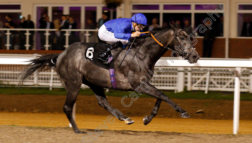 Welsh-Lord-0005 
 WELSH LORD (Hector Crouch) wins The Natta Building Company Ltd Novice Stakes
Chelmsford 6 Sep 2018 - Pic Steven Cargill / Racingfotos.com