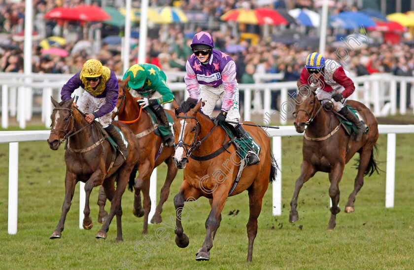 Mohaayed-0006 
 MOHAAYED (Bridget Andrews) wins The Randox Health County Handicap Hurdle Cheltenham 16 mar 2018 - Pic Steven Cargill / Racingfotos.com