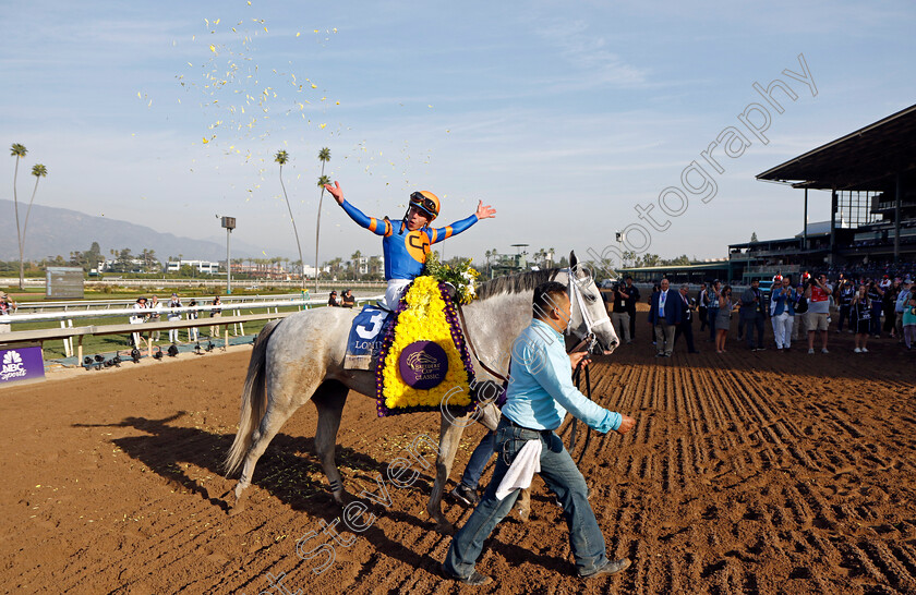 White-Abarrio-0014 
 WHITE ABARRIO (Irad Ortiz) winner of The Breeders' Cup Classic
Santa Anita 4 Nov 2023 - pic Steven Cargill / Racingfotos.com