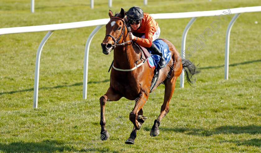 Kingmania-0005 
 KINGMANIA (Pat Cosgrave) wins The leicester-racecourse.co.uk Handicap
Leicester 24 Apr 2021 - Pic Steven Cargill / Racingfotos.com