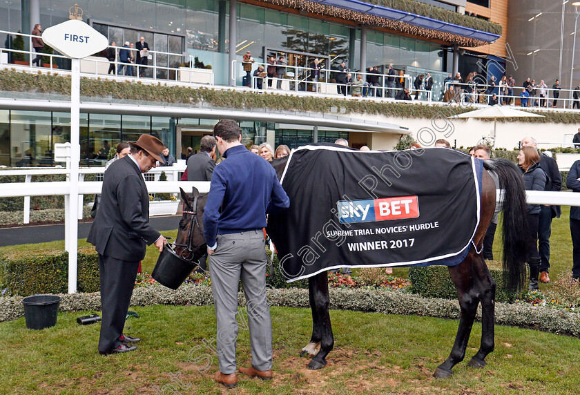 Claimantakinforgan-0007 
 CLAIMANTAKINFORGAN after The Sky Bet Supreme Trial Novices Hurdle Ascot 22 Dec 2017 - Pic Steven Cargill / Racingfotos.com