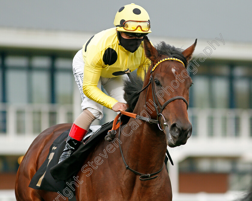 King-Francis-0002 
 KING FRANCIS (Andrea Atzeni)
Nottingham 28 Oct 2020 - Pic Steven Cargill / Racingfotos.com