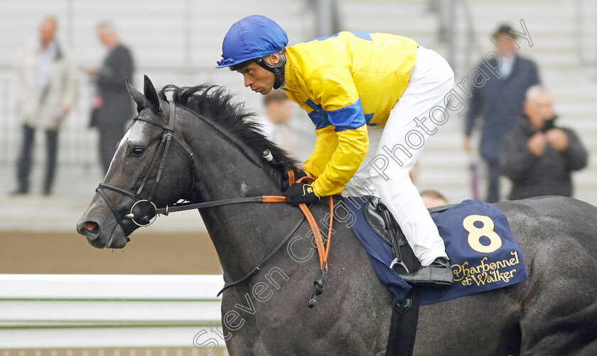 Seaplane-0001 
 SEAPLANE (Sean Levey)
Ascot 6 Sep 2024 - Pic Steven Cargill / Racingfotos.com