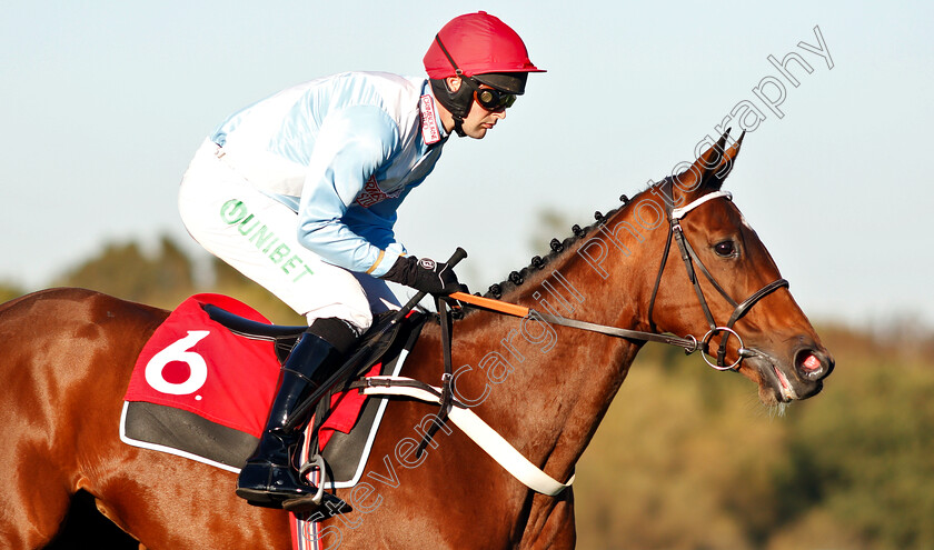 Verdana-Blue-0002 
 VERDANA BLUE (Nico De Boinville) before winning The Matchbook VIP Hurdle
Kempton 21 Oct 2018 - Pic Steven Cargill / Racingfotos.com