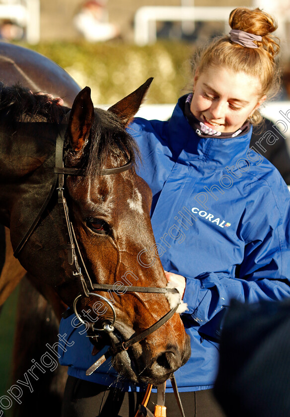 Blueking-d Oroux-0005 
 BLUEKING D'OROUX winner of The Coral Hurdle
Ascot 25 Nov 2023 - Pic Steven Cargill / Racingfotos.com