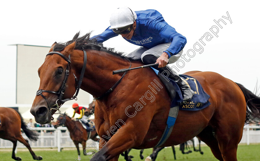 Naval-Crown-0006 
 NAVAL CROWN (James Doyle) wins The Platinum Jubilee Stakes
Royal Ascot 18 Jun 2022 - Pic Steven Cargill / Racingfotos.com