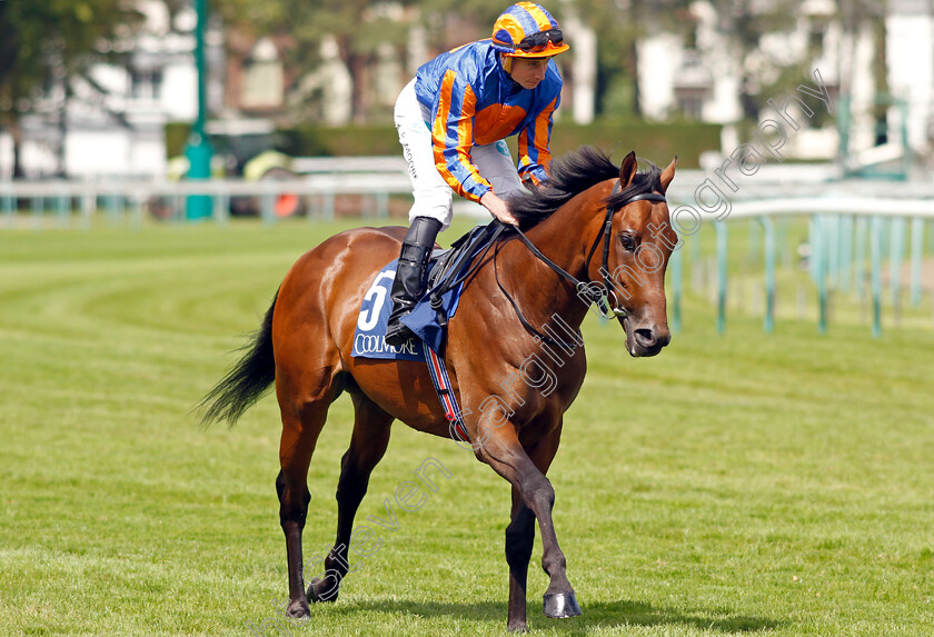 Mythology-0001 
 MYTHOLOGY (Ryan Moore)
Deauville 13 Aug 2023 - Pic Steven Cargill / Racingfotos.com