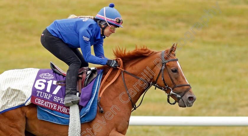 Creative-Force-0002 
 CREATIVE FORCE training for the Breeders' Cup Turf Sprint
Keeneland USA 2 Nov 2022 - Pic Steven Cargill / Racingfotos.com