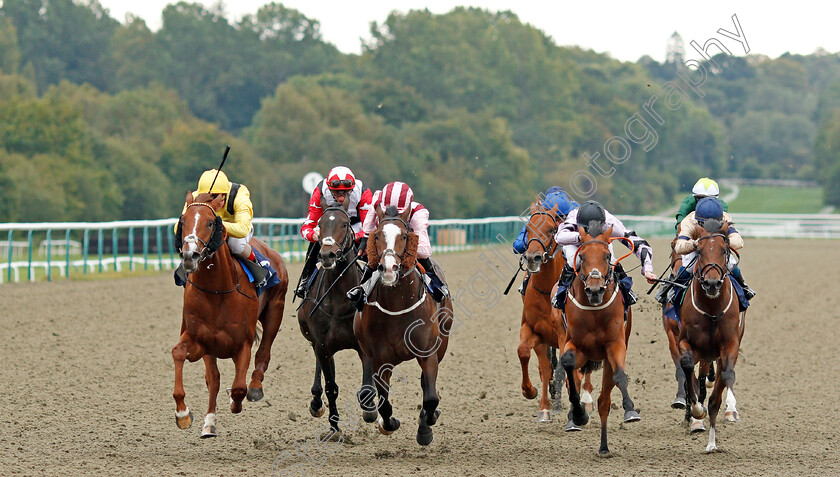 Qaaddim-0003 
 QAADDIM (left, Andrea Atzeni) beats PITCHCOMBE (2nd left) HEXAGON (2nd right) and DRAMATIC SANDS (right) in The Shard Solutions And Origin Nursery
Lingfield 3 Oct 2019 - Pic Steven Cargill / Racingfotos.com