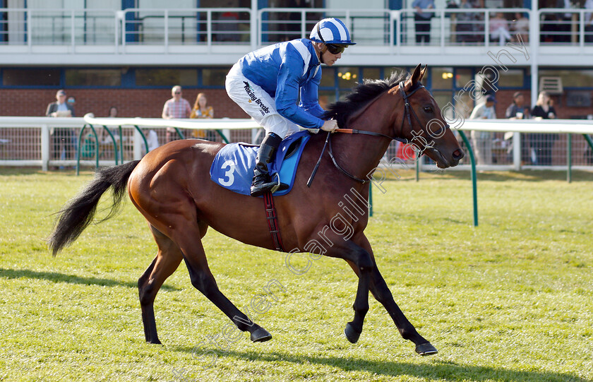 Foad-0001 
 FOAD (Jim Crowley)
Nottingham 20 Apr 2019 - Pic Steven Cargill / Racingfotos.com