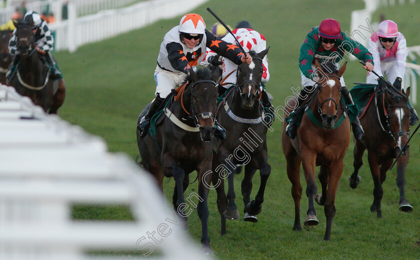 Master-Debonair-0001 
 MASTER DEBONAIR (James Bowen) wins The High Sheriff Of Gloucestershire And Racing Remember Stanadard Open National Hunt Flat Race
Cheltenham 18 Nov 2018 - Pic Steven Cargill / Racingfotos.com