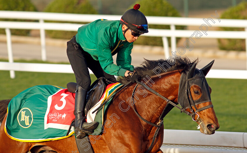 Iron-Barows-0002 
 IRON BAROWS training for The Red Sea Turf Handicap
King Abdulaziz Racecourse, Saudi Arabia 20 Feb 2024 - Pic Steven Cargill / Racingfotos.com