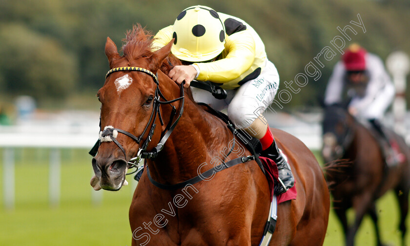 Ostilio-0007 
 OSTILIO (Andrea Atzeni) wins The Betfair EBF Conditions Stakes
Haydock 3 Sep 2020 - Pic Steven Cargill / Racingfotos.com