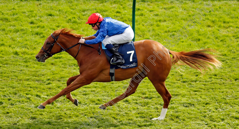 Mountain-Breeze-0001 
 MOUNTAIN BREEZE (William Buick) wins The Tattersalls EBF Fillies Novice Stakes
Newmarket 5 May 2024 - Pic Steven Cargill / Racingfotos.com