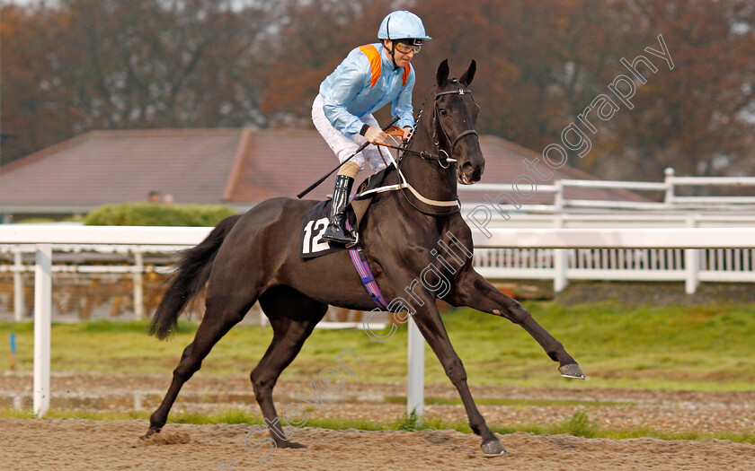 Fiveandtwenty-0001 
 FIVEANDTWENTY (Joe Fanning)
Chelmsford 25 Nov 2019 - Pic Steven Cargill / Racingfotos.com