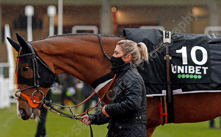 Cormier-0001 
 CORMIER 
Cheltenham 15 Nov 2020 - Pic Steven Cargill / Racingfotos.com