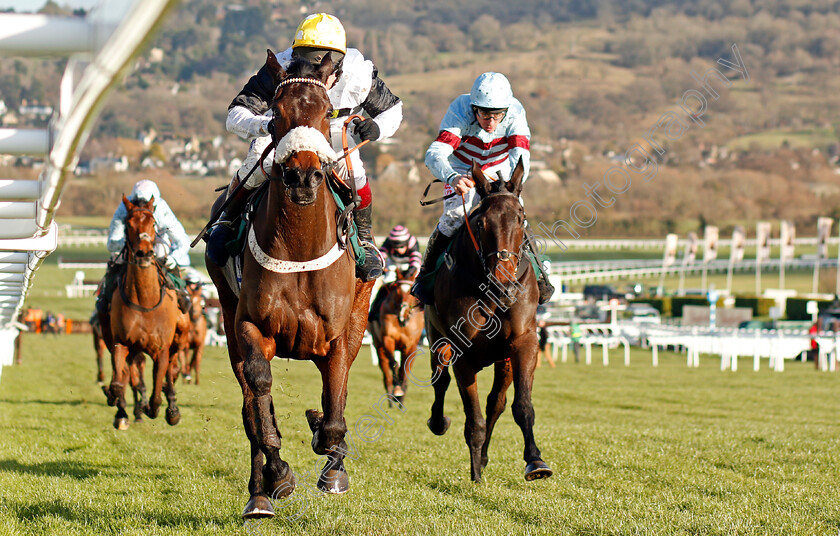 Western-Ryder-0003 
 WESTERN RYDER (Richard Johnson) wins The British Stallion Studs EBF National Hunt Novices Hurdle Cheltenham 15 Dec 2017 - Pic Steven Cargill / Racingfotos.com