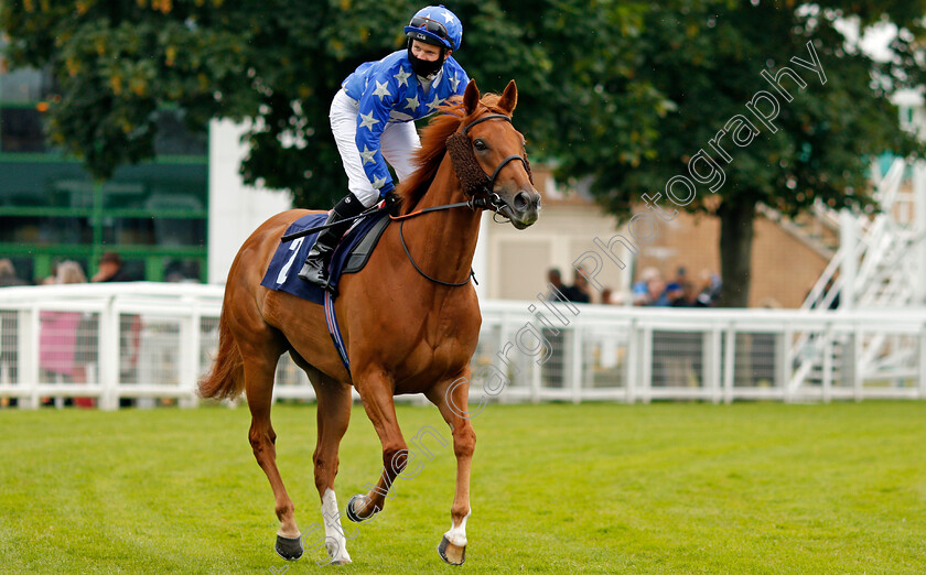 Toora-Loora-0001 
 TOORA LOORA (Alex Jary) winner of The Quinnbet Best Odds Guaranteed Hands And Heels Apprentice Handicap
Yarmouth 1 Jul 2021 - Pic Steven Cargill / Racingfotos.com