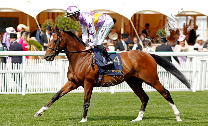 Going-The-Distance-0006 
 GOING THE DISTANCE (Rossa Ryan) winner of The King George V Stakes
Royal Ascot 20 Jun 2024 - Pic Steven Cargill / Racingfotos.com