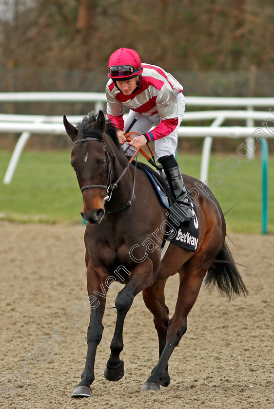 Entangling-0001 
 ENTANGLING (William Carson)
Lingfield 22 Feb 2020 - Pic Steven Cargill / Racingfotos.com