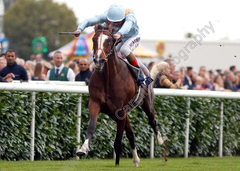 Leroy-Leroy-0005 
 LEROY LEROY (Andrea Atzeni) wins The Napoleons Casinos & Restaurants Nursery
Doncaster 15 Sep 2018 - Pic Steven Cargill / Racingfotos.com