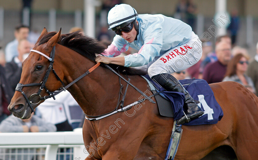 Visala-0004 
 VISALA (Tom Marquand) wins The Seadeer Handicap
Yarmouth 15 Sep 2021 - Pic Steven Cargill / Racingfotos.com