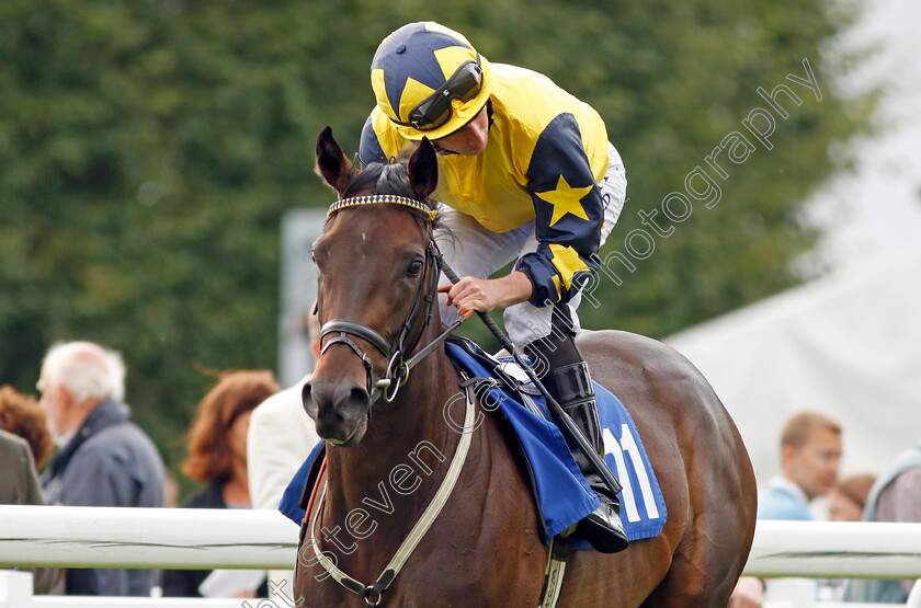 One-Minute-0001 
 ONE MINUTE (Ryan Moore) Salisbury 7 Sep 2017 - Pic Steven Cargill / Racingfotos.com