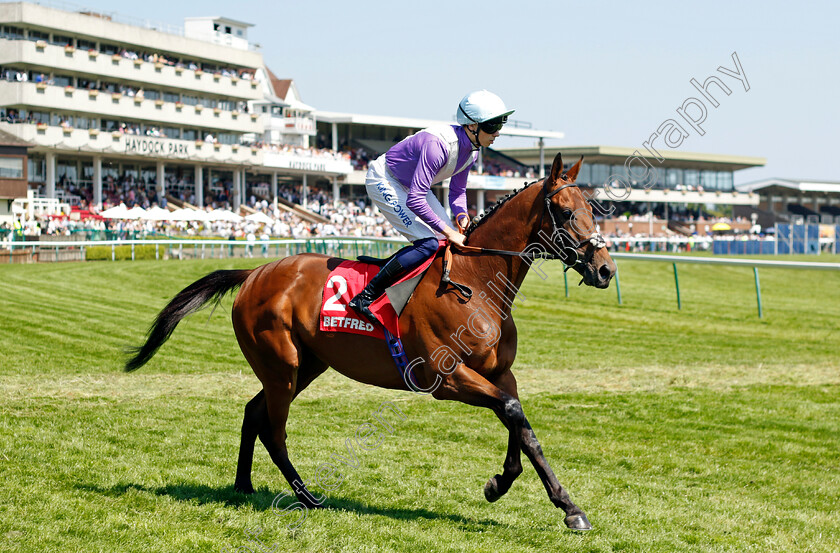 Stormbuster-0001 
 STORMBUSTER (Callum Hutchinson)
Haydock 27 May 2023 - Pic Steven Cargill / Racingfotos.com