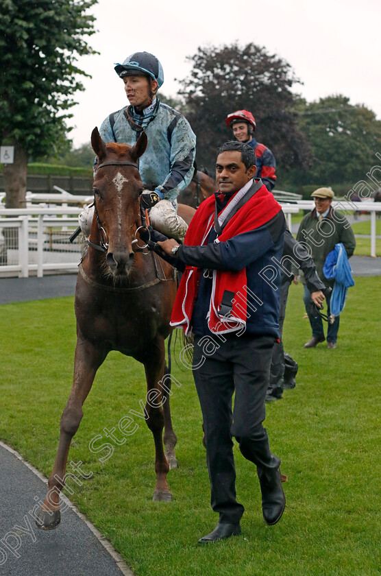 Stressfree-0006 
 STRESSFREE (Jason Watson) winner of The Trustatrader Approved And Reviewed Trades People Handicap
Nottingham 11 Oct 2023 - Pic Steven Cargill / Racingfotos.com