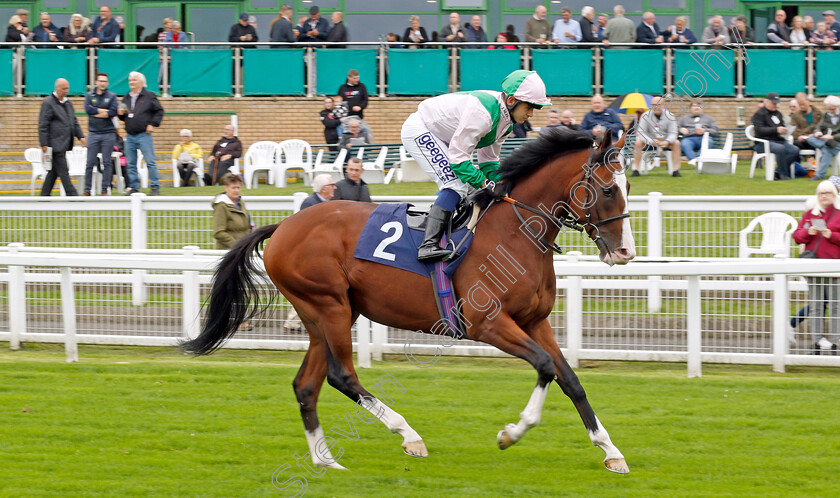 Dark-Dreamer-0001 
 DARK DREAMER (Marco Ghiani)
Yarmouth 19 Sep 2023 - Pic Steven Cargill / Racingfotos.com