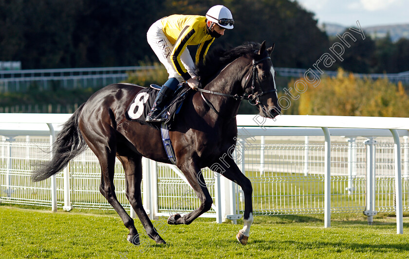 Stanley-Baldwin-0002 
 STANLEY BALDWIN (Callum Shepherd)
Goodwood 11 Oct 2020 - Pic Steven Cargill / Racingfotos.com