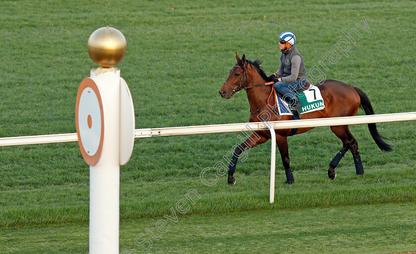 Hukum-0004 
 HUKUM (Jim Crowley) training for The Sheema Classic
Meydan, Dubai, 24 Mar 2022 - Pic Steven Cargill / Racingfotos.com