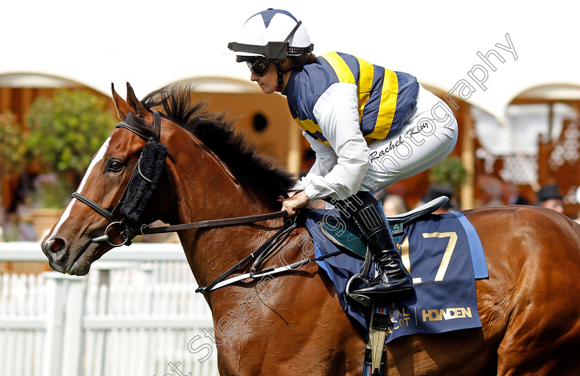 Highland-Bling-0001 
 HIGHLAND BLING (Rachel King)
Royal Ascot 20 Jun 2024 - Pic Steven Cargill / Racingfotos.com