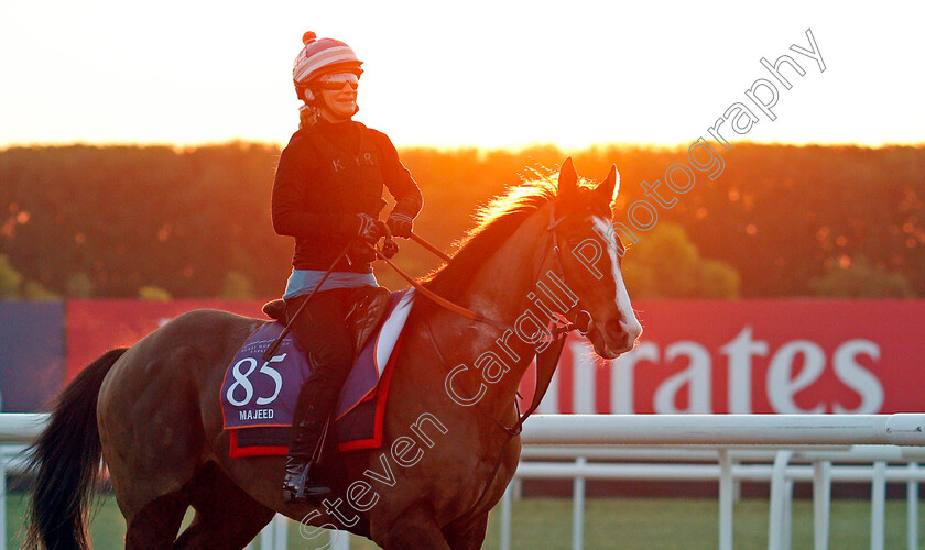 Majeed-0004 
 MAJEED, trained by David Simcock, exercising in preparation for The Dubai World Cup Carnival, Meydan 18 Jan 2018 - Pic Steven Cargill / Racingfotos.com