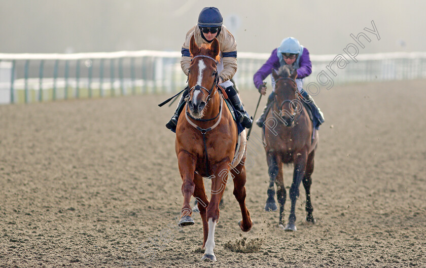 Going-Places-0008 
 GOING PLACES (Hollie Doyle) wins The Bombardier March To Your Own Drum Novice Stakes
Lingfield 9 Jan 2021 - Pic Steven Cargill / Racingfotos.com