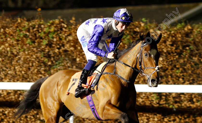 Ribbon-Is-A-Dancer-0001 
 RIBBON IS A DANCER (Joe Leavy)
Kempton 11 Dec 2024 - Pic Steven Cargill / Racingfotos.com