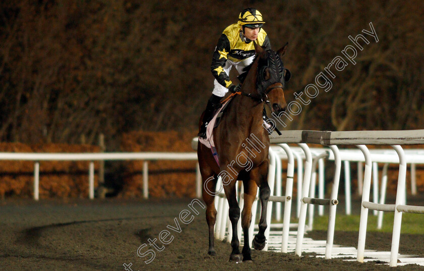 Hermosura-0001 
 HERMOSURA (Richard Kingscote)
Kempton 4 Dec 2019 - Pic Steven Cargill / Racingfotos.com