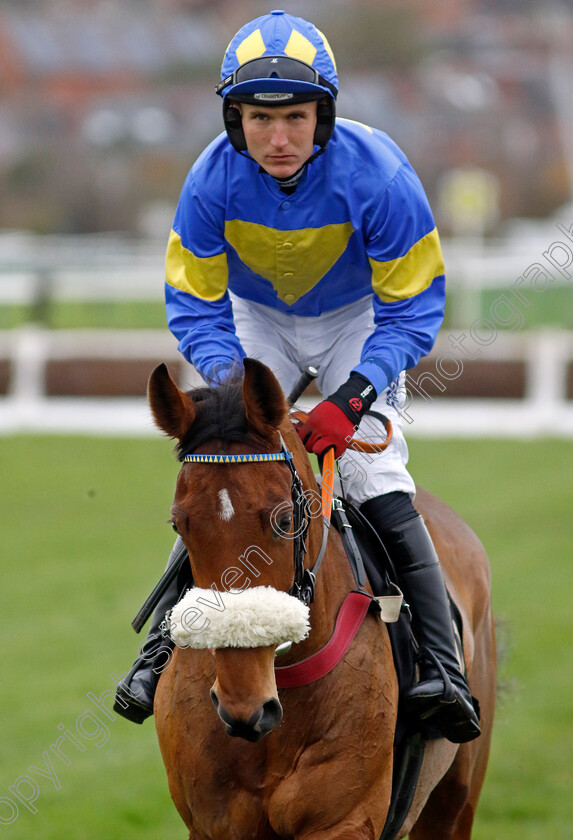 Bobbi s-Beauty-0001 
 BOBBI'S BEAUTY (Tom Bellamy)
Warwick 22 Nov 2023 - Pic Steven Cargill / Racingfotos.com