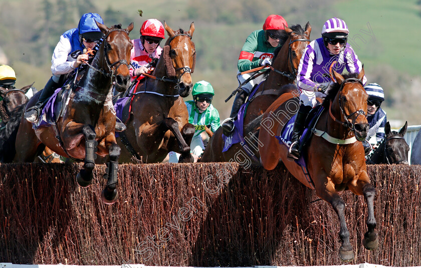 Quite-By-Chance-and-Cepage-0001 
 QUITE BY CHANCE (right, Harry Cobden) jumps with CEPAGE (left) Cheltenham 18 Apr 2018 - Pic Steven Cargill / Racingfotos.com