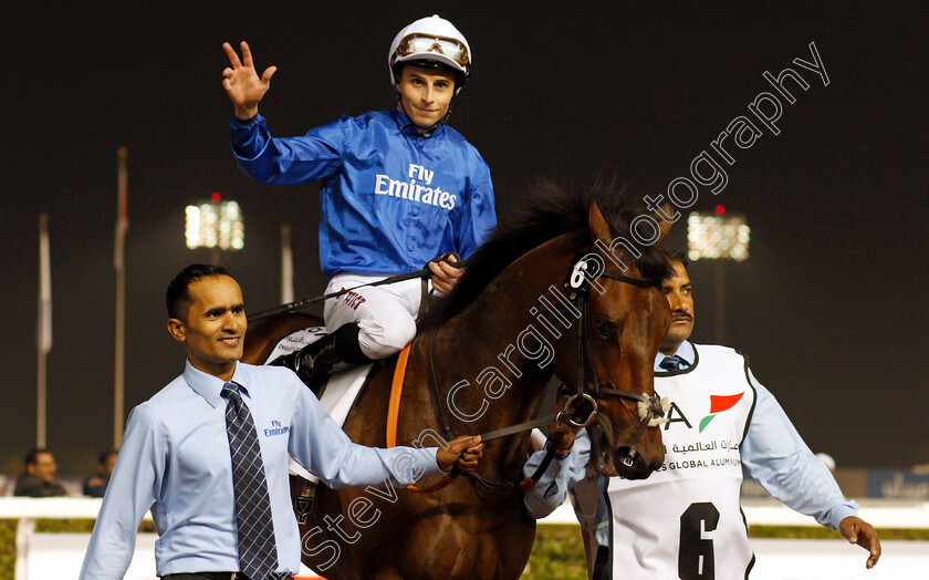 Gold-Town-0013 
 GOLD TOWN (William Buick) after The UAE 2000 Guineas Trial Div1 Meydan 25 Jan 2018 - Pic Steven Cargill / Racingfotos.com