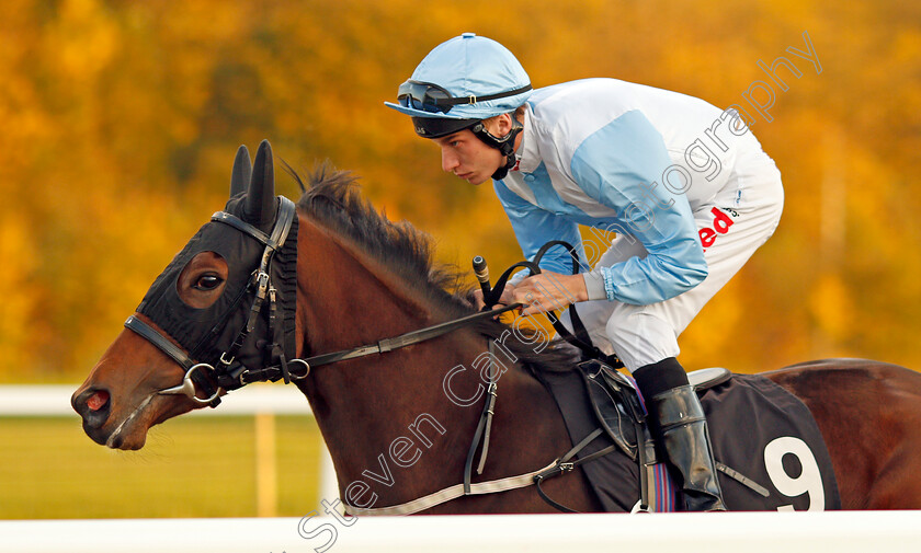 Little-Poem-0001 
 LITTLE POEM (Luke Morris) Chelmsford 12 Oct 2017 - Pic Steven Cargill / Racingfotos.com