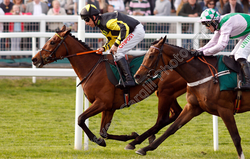 Mystic-Dreamer-0007 
 MYSTIC DREAMER (Leighton Aspell) wins The Spreadex Sports Betting Mares Standard Open National Hunt Flat Race
Cheltenham 18 Apr 2019 - Pic Steven Cargill / Racingfotos.com