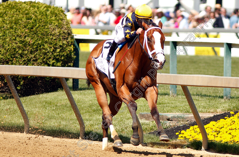 Covfefe-0005 
 COVFEFE (Javier Castellano) wins The Miss Preakness Stakes
Pimlico, Baltimore USA, 17 May 2019 - Pic Steven Cargill / Racingfotos.com