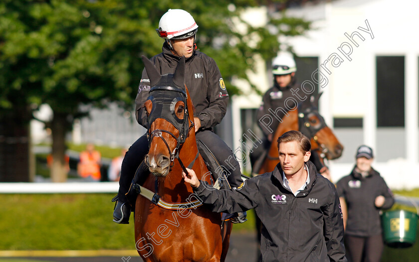 Nature-Strip-0002 
 NATURE STRIP - Australia to Ascot, preparing for the Royal Meeting.
Ascot 10 Jun 2022 - Pic Steven Cargill / Racingfotos.com